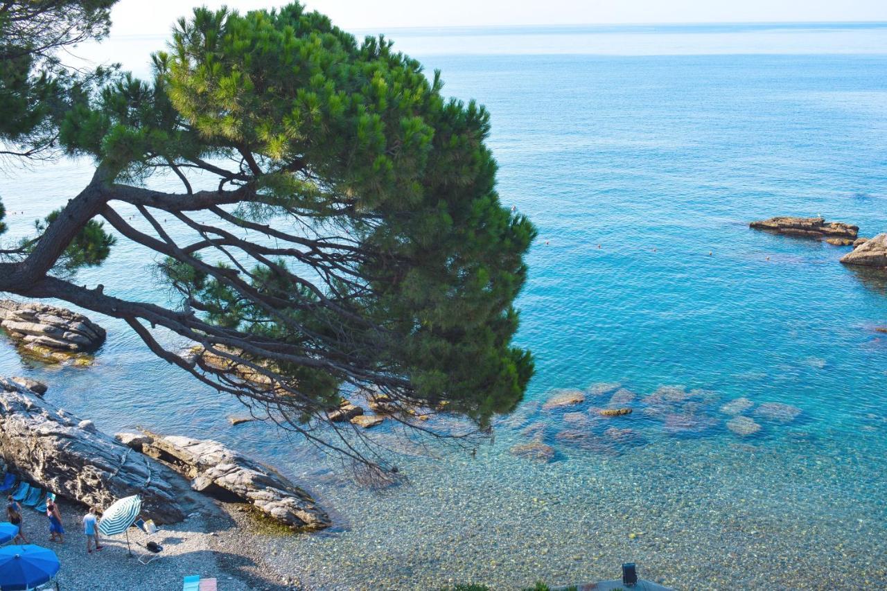 La Terrazza Sul Mare Διαμέρισμα Zoagli Εξωτερικό φωτογραφία