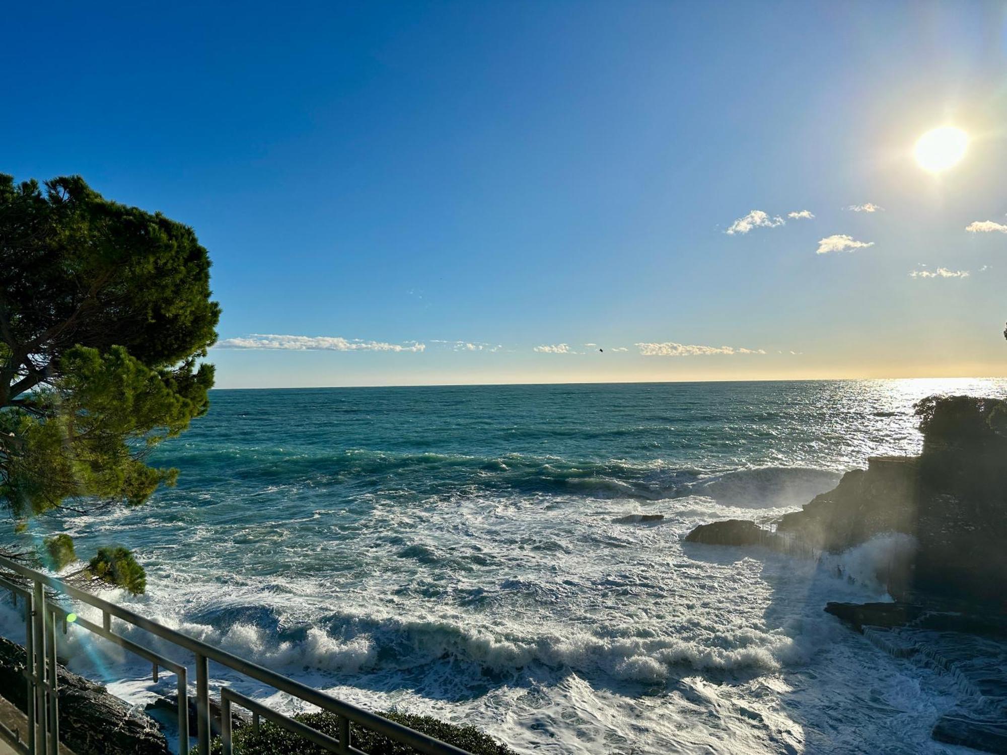 La Terrazza Sul Mare Διαμέρισμα Zoagli Εξωτερικό φωτογραφία
