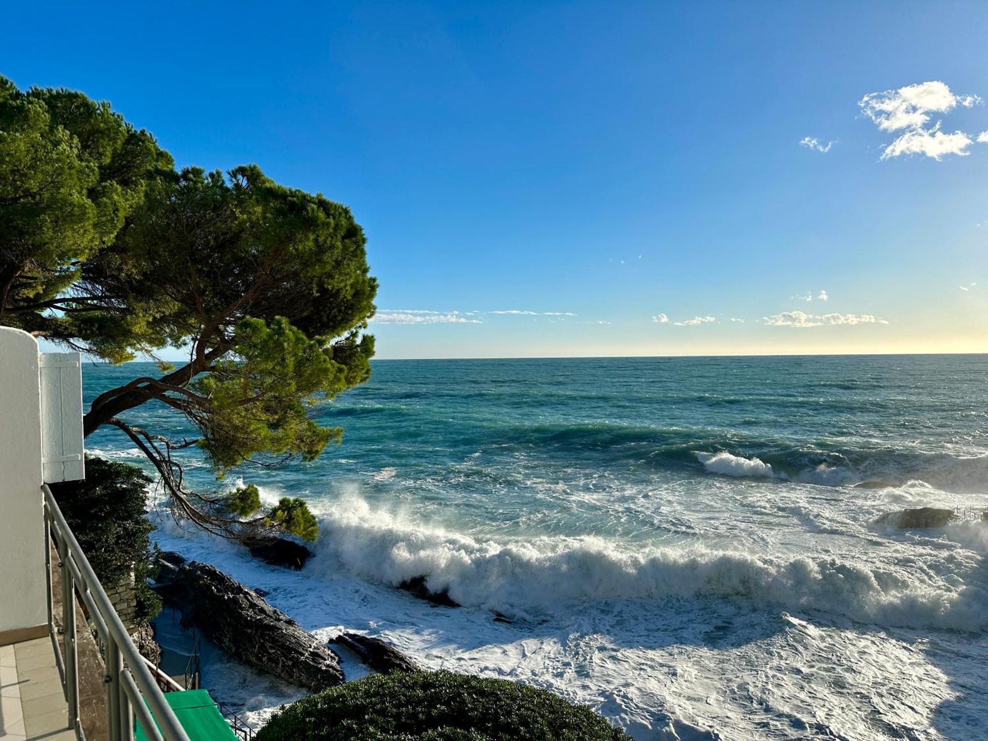 La Terrazza Sul Mare Διαμέρισμα Zoagli Εξωτερικό φωτογραφία