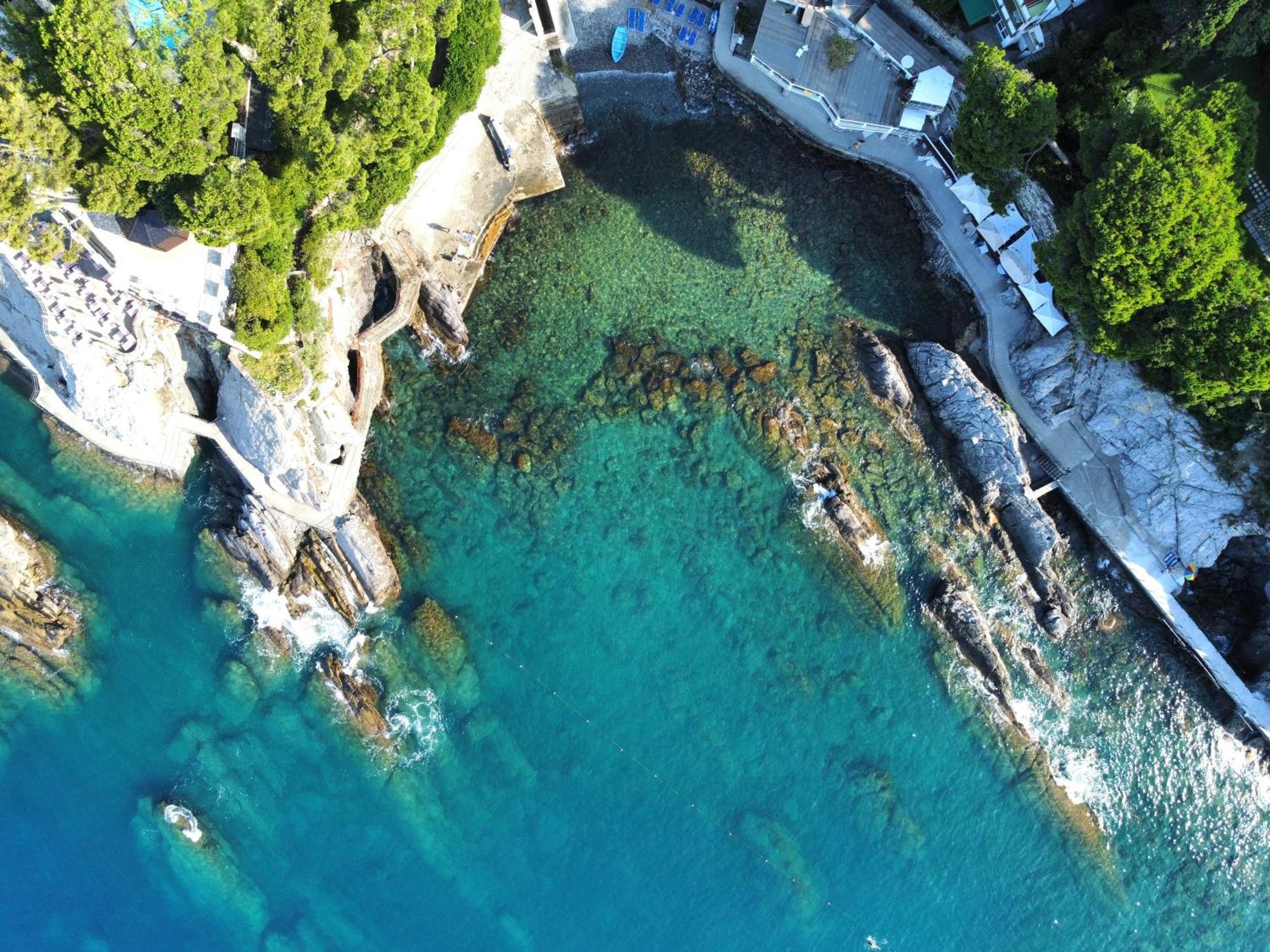 La Terrazza Sul Mare Διαμέρισμα Zoagli Εξωτερικό φωτογραφία